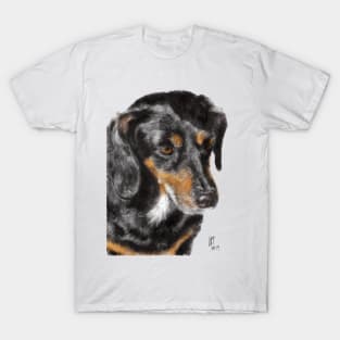 A Very Serious Furry Dachshund T-Shirt